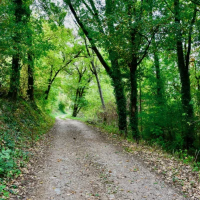 Marche sur le chemin de Saint-Jacques au coeur de la vallée du Célé